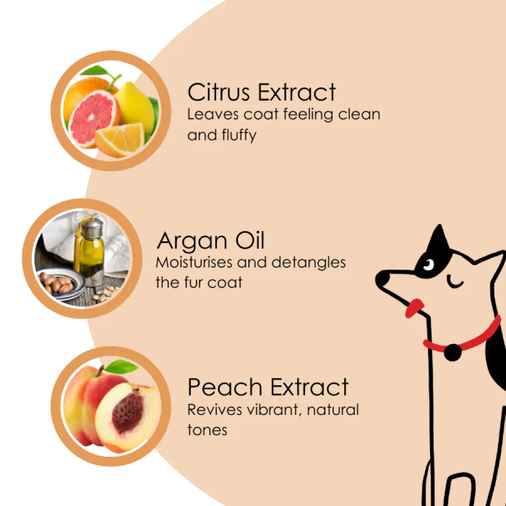 Pet And Parents Argan Oil   Peach Dry Bath Foaming Shampoo for Dogs and Cats