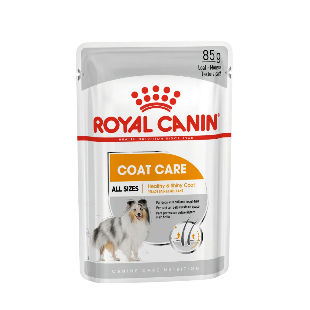 Royal Canin Coat Care Loaf 85g Pouch Adult Wet Dog Food - Canine Care Nutrition