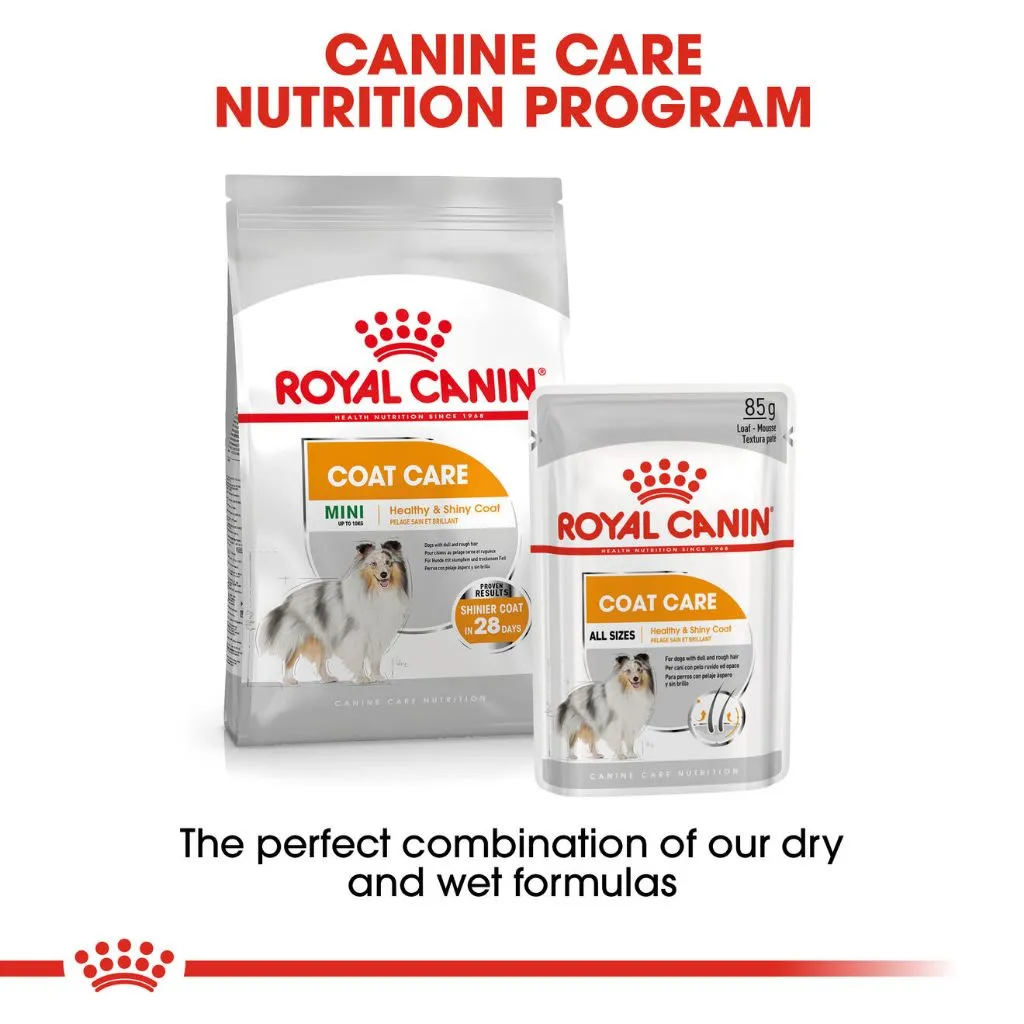 Royal Canin Coat Care Loaf 85g Pouch Adult Wet Dog Food - Canine Care Nutrition