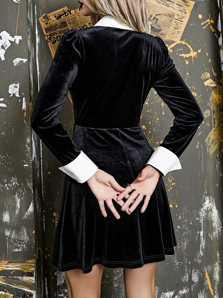 Vintage Gothic Velvet Contrast Collar Long Sleeve Aesthetic Fit Flare Dress