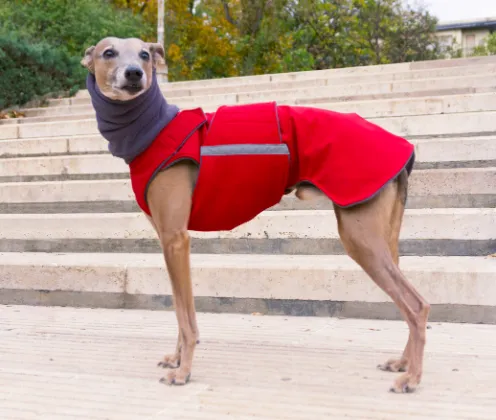 WHIPPET WINTER DOG COAT   NECK WARMER / MADE TO ORDER